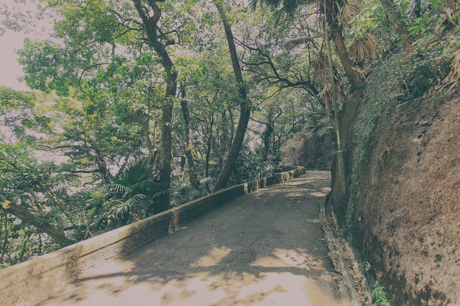 IMG_0255_DxO_DxO_DxO