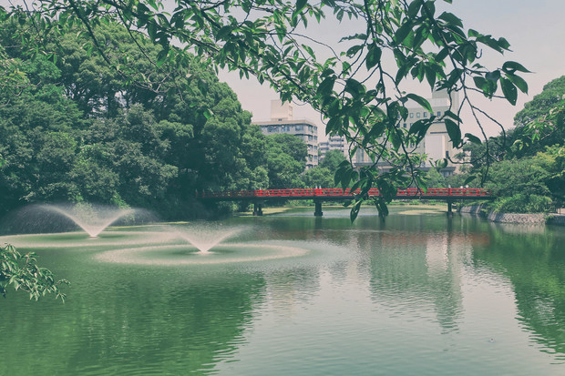 4vcktkqTURBXy8wNGQ3ODVhZmZmZWIwM2MxN2YwN2ZiNGY2NDQ5NTk4My5qcGVnkpUCzQJsAMLDlQIAzQJYwsM